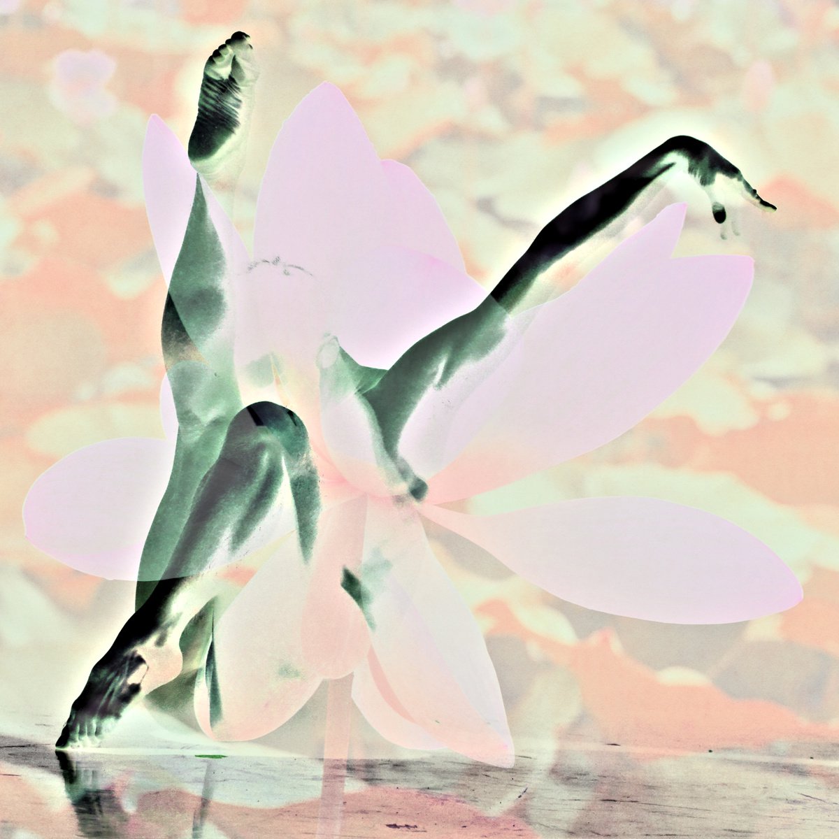Ballet dancer by Elena Zapassky
