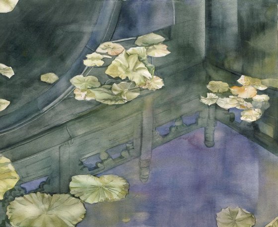 Lotus pond reflection