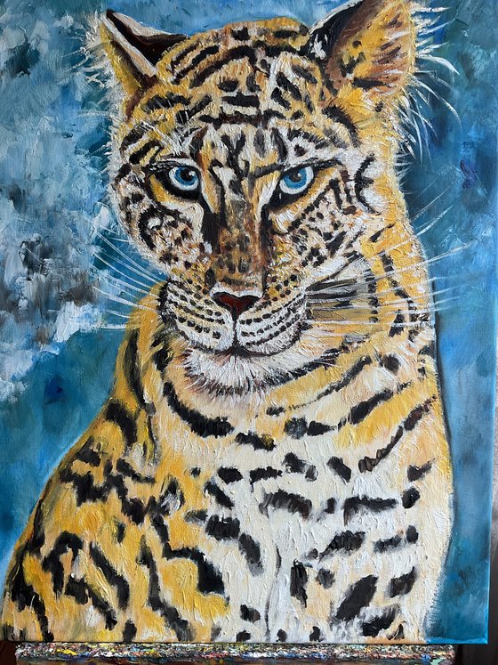 Leopard . Blue  eyes.