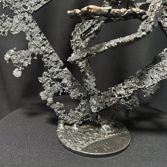 The Squares of the Secret