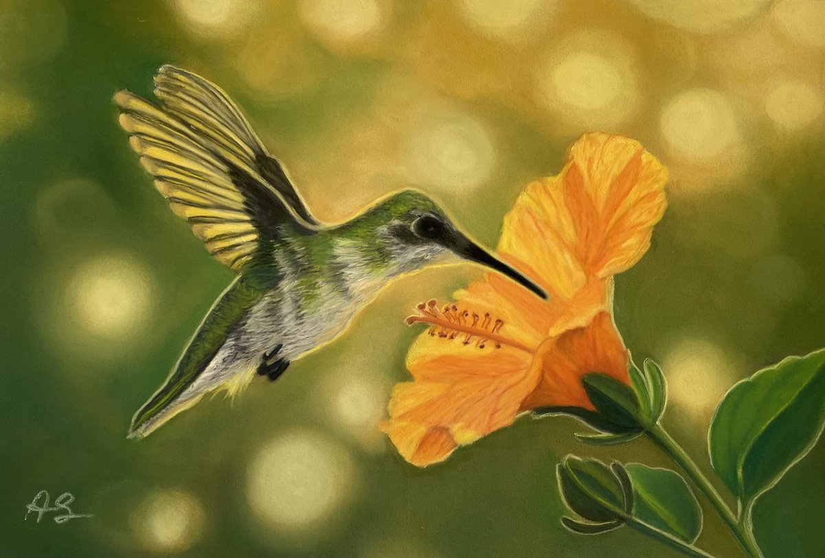 Photorealistic Animal Pastel Drawing By Anne Shaughnessy, 12 X 8, Hummingbird In Flight, Original Artwork