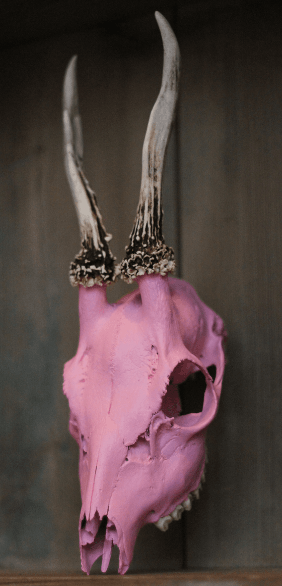 Barbie Skull