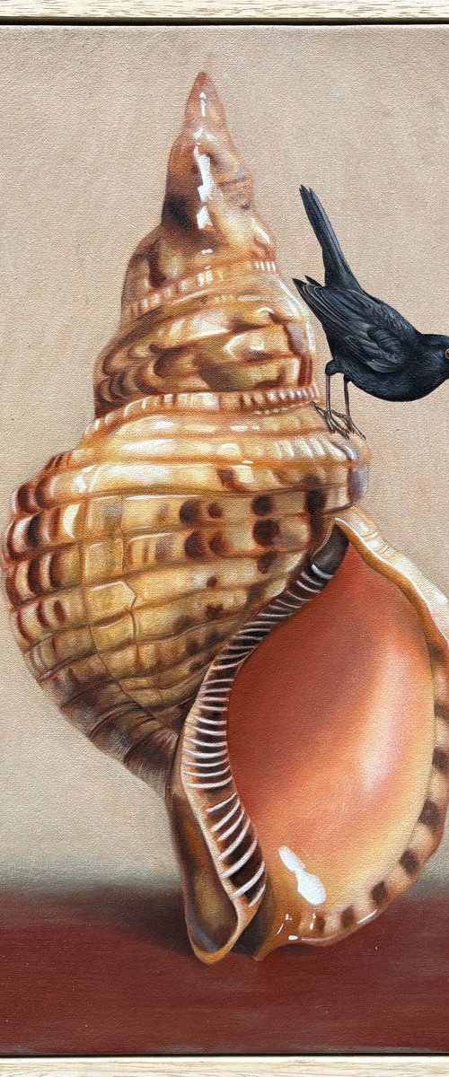 Temporary Accommodation IV by Joshua Daniels