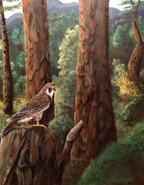 Peregrine Falcon Among the Pines by Donna Daniels