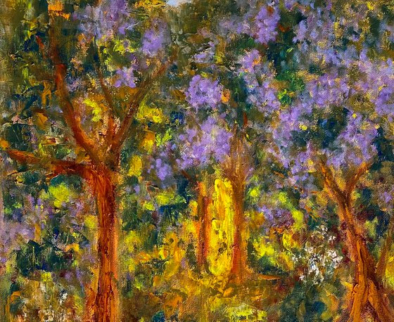 Jacaranda Path
