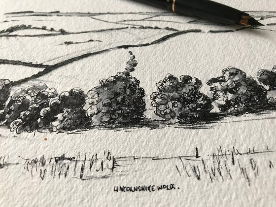 Winter Trees in Pen and Ink - Lincolnshire Landscape