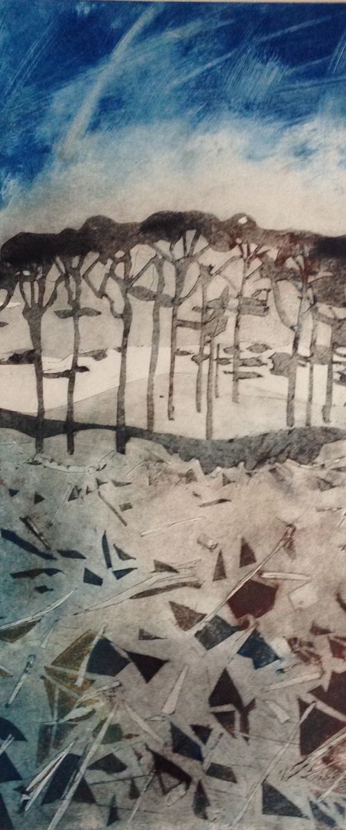 Alnmouth Copse by Sandra Haney