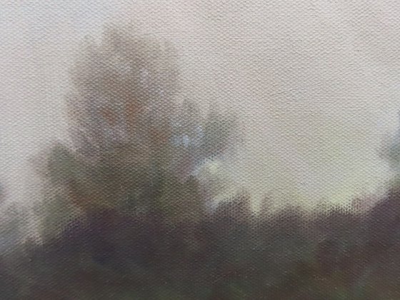 Light in the Sky