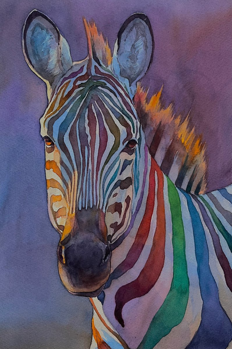 Zebra in the light by Andrii Roshkaniuk