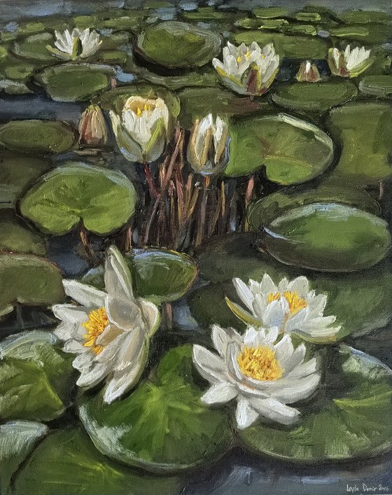 Water lilies