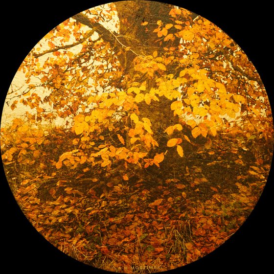 Autumnal 1