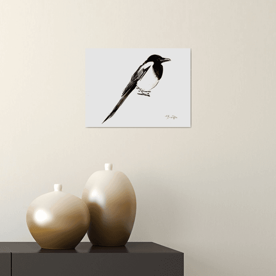 Magpie