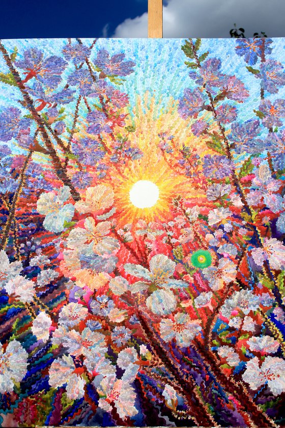 Cherry Blossom