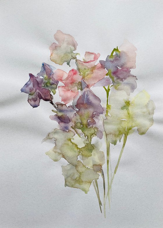 Sweet pea 11,4x15,7 in