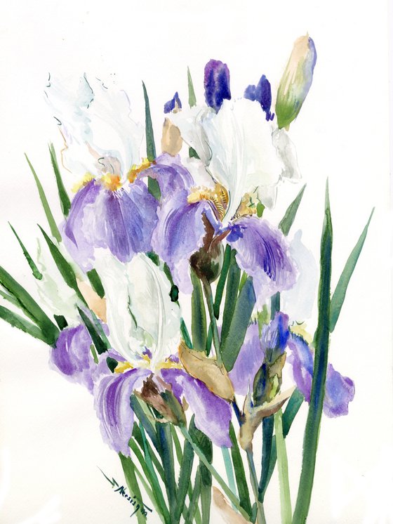 Iris Flowers