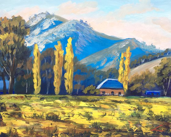 Sunny landscape