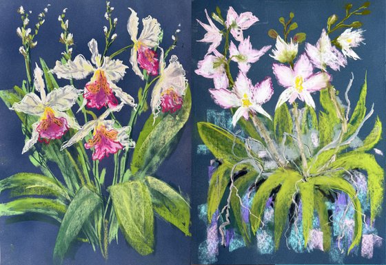 Set of 2 Wild orchids Pastel