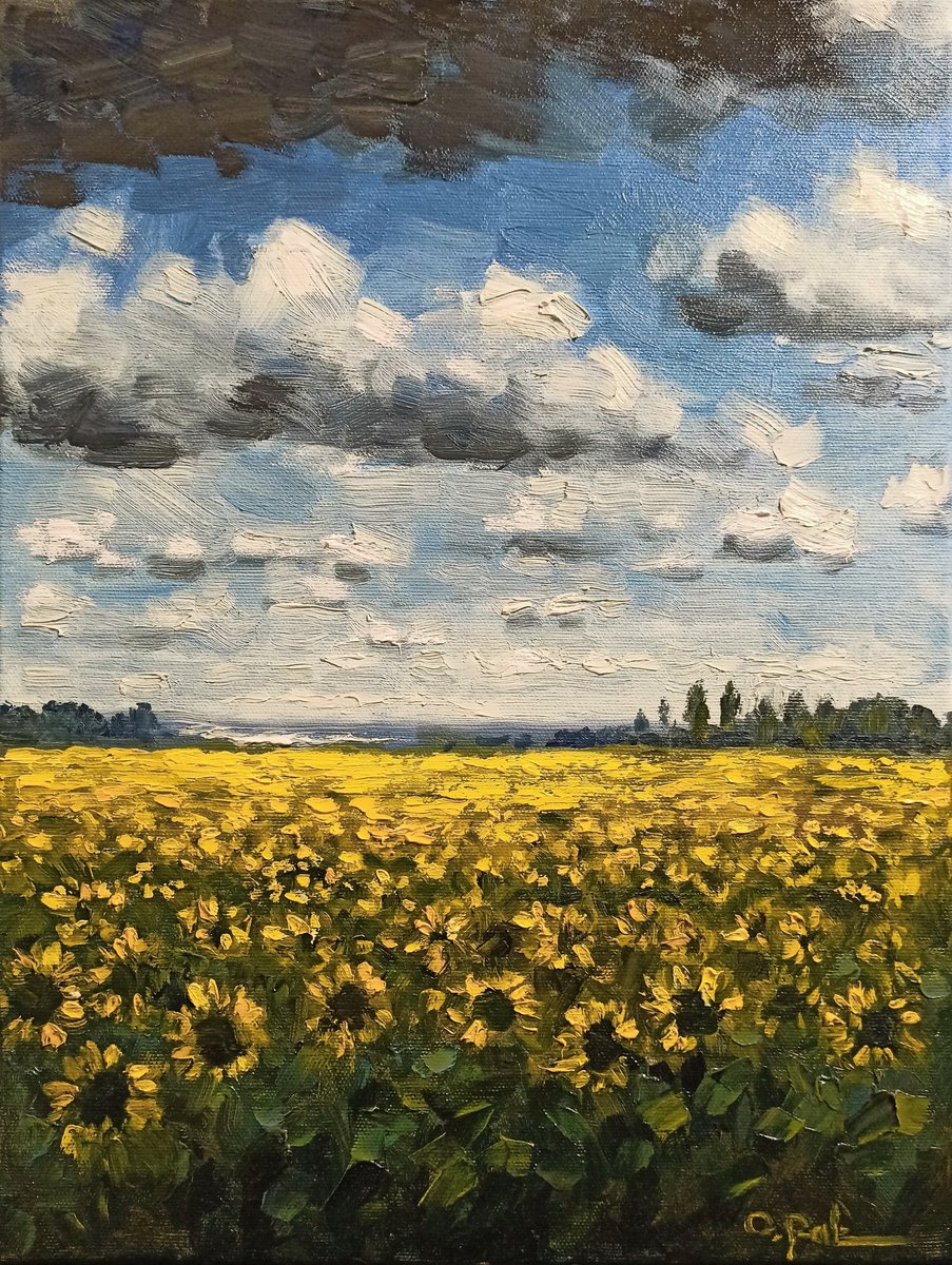 Sunflower field by Oleh Rak