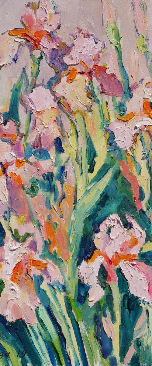 Pink irises by Dima Braga