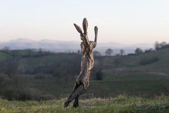 Spring Hare Foundry Bronze