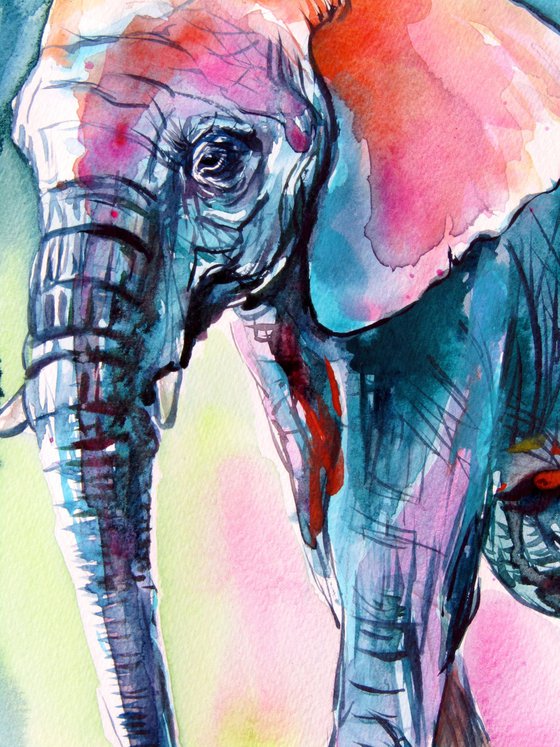 Elephant at night
