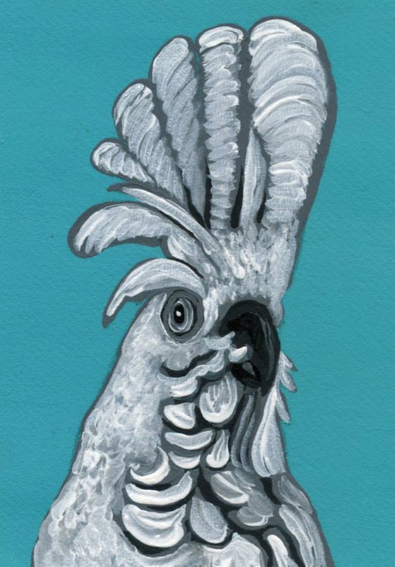 ACEO ATC Original Miniature Painting Umbrella Cockatoo Parrot Pet Bird Art-Carla Smale