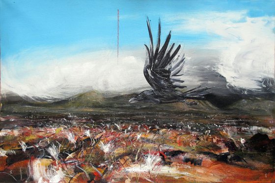 cotton grass, Crow, Transmitter, Black Hill