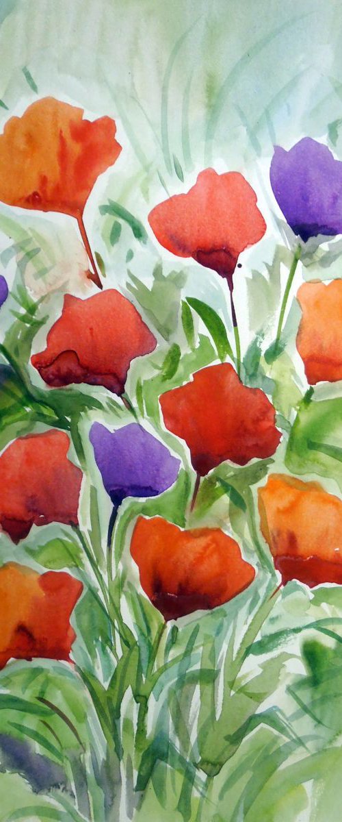 Beauty of Poppies Flowers V by Samiran Sarkar