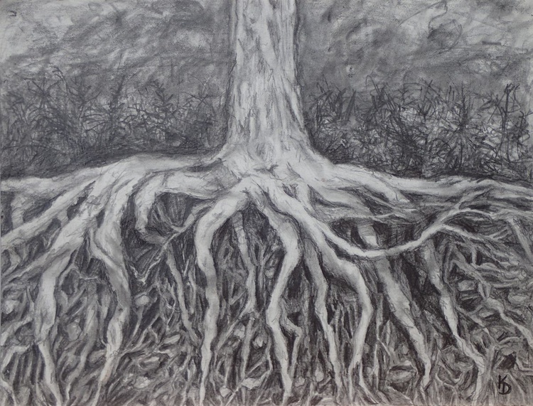 Roots 2017 Pencil Drawing By Kyla Dante Artfinder