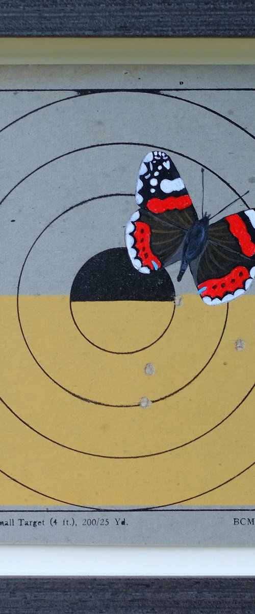 Red admiral on target by Lene Bladbjerg