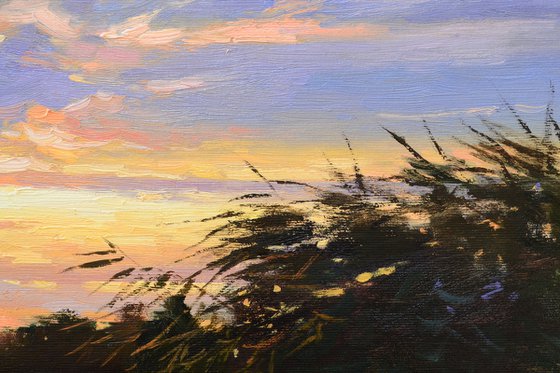 Evening after the storm