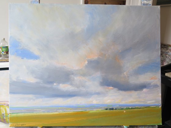 Yorkshire Wolds,  June 14