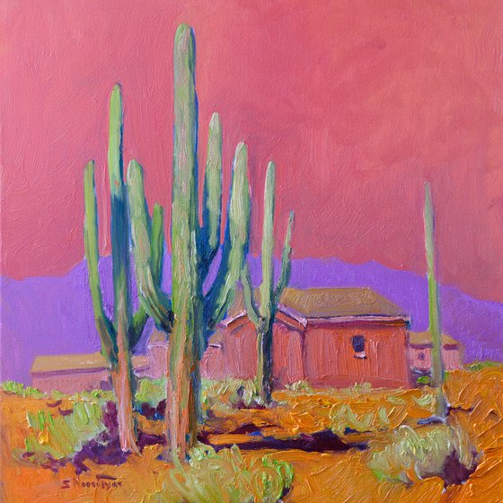 Pink Evening, Saguaro