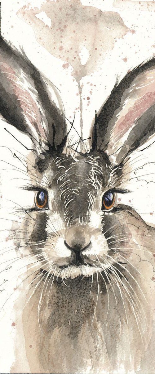 'Harry the Hare' by Nicola Colbran