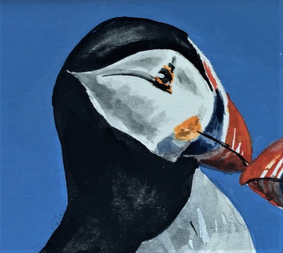 Kissing Puffins