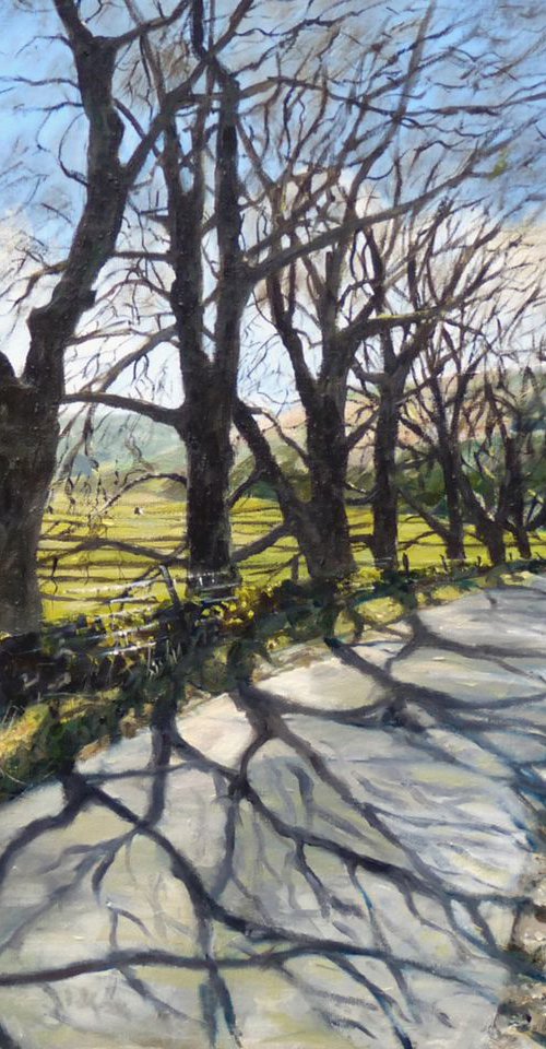 Shadows of Wharfedale by Mike Brown