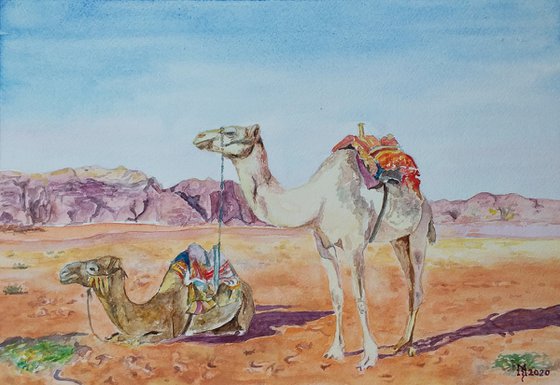 CAMELS-SCENE FROM THE DESERT