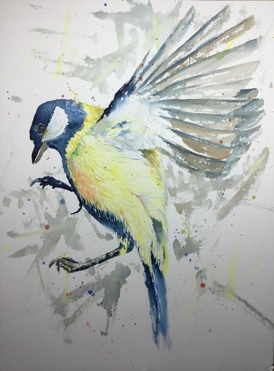 Great Tit