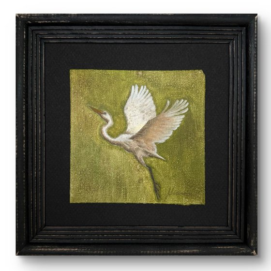 White Egret