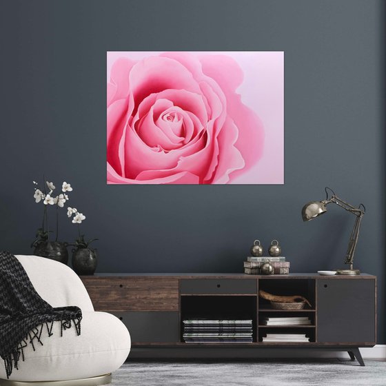 Majesty. Rose