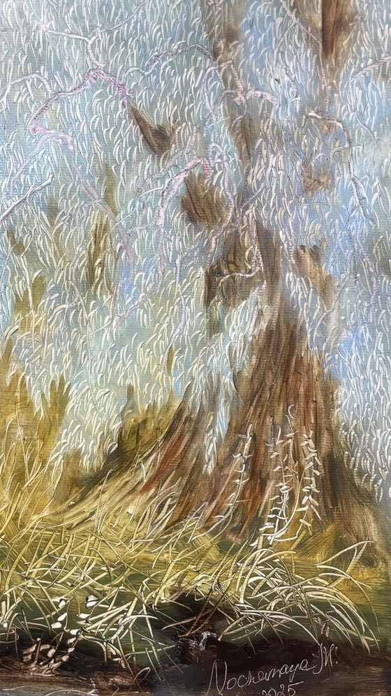 Old Willows by the River