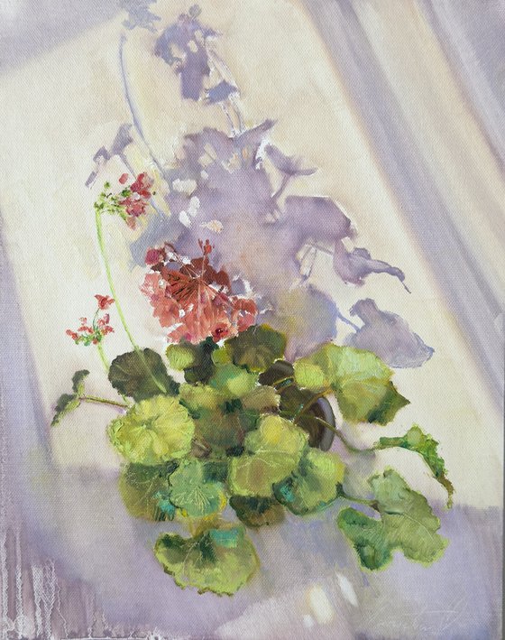 Flower illuminated by  sun