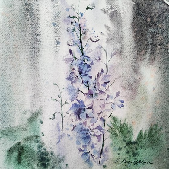 Delphinium Lilac