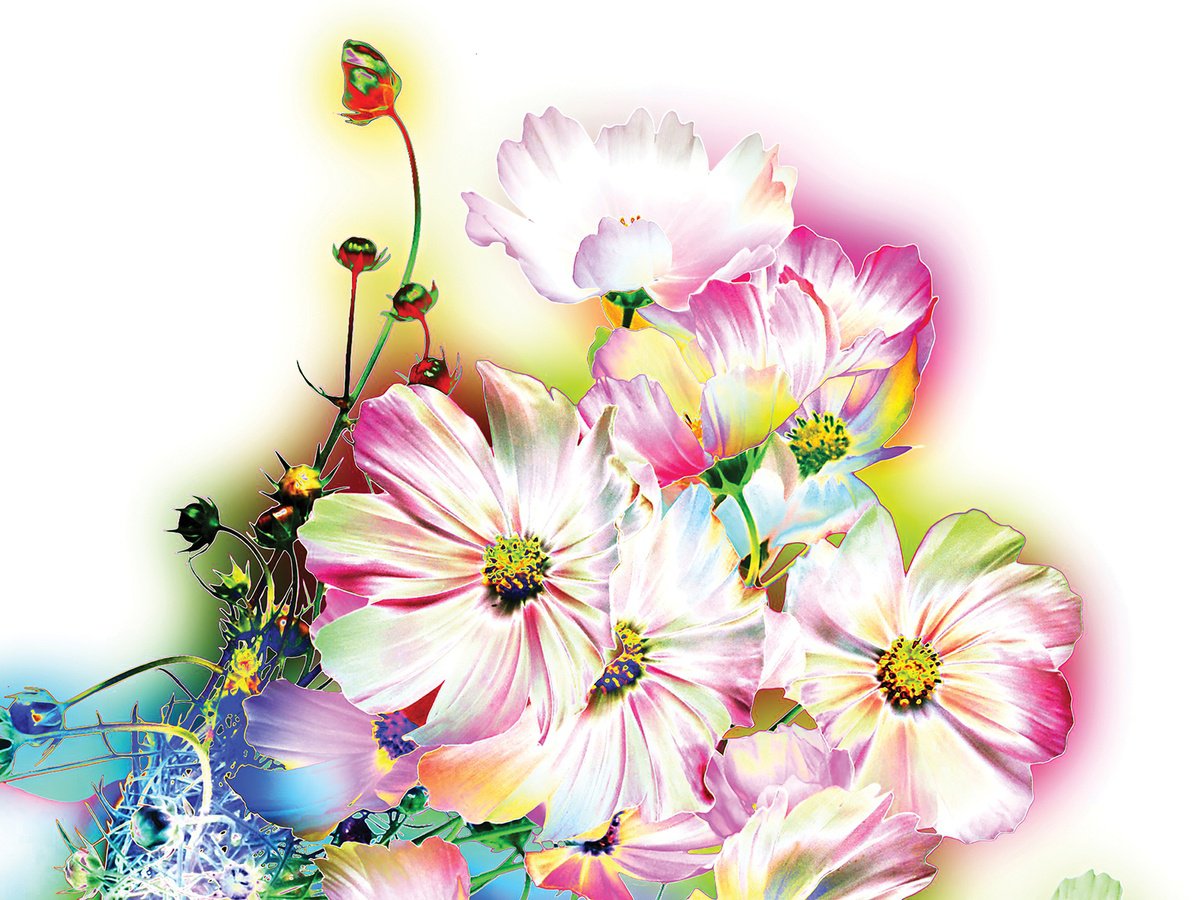 Abstract Botanical Print By Javier Diaz, 80 X 60, Contornos 3, Original Artwork