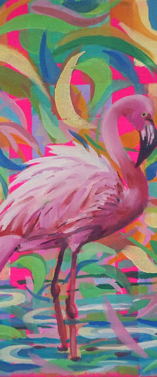 Colorful flamingo by Amaya Fernández Fariza