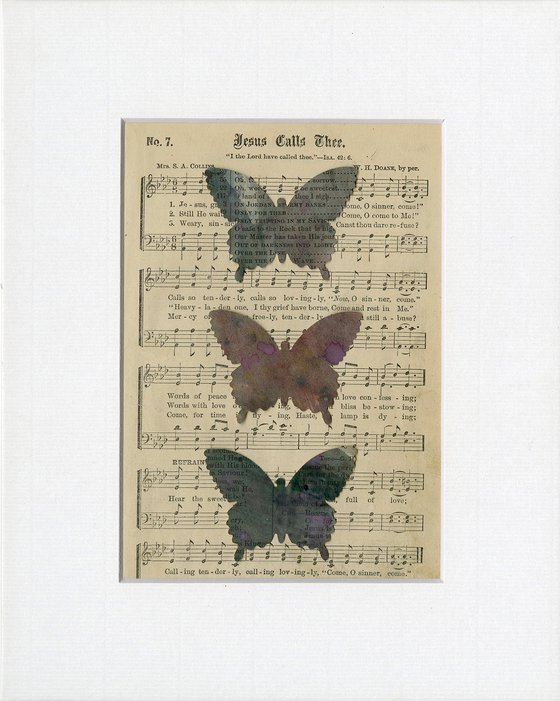 Butterfly Collage 16