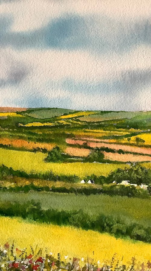 Summer landscape by Darren Carey