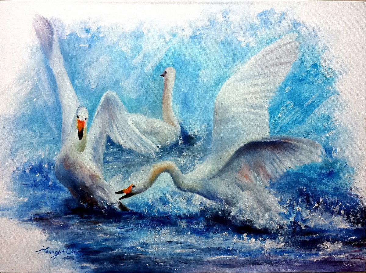 Expressive Animal Oil Painting By Henry Cao, 24 X 18, Swans Playing, Original Artwork