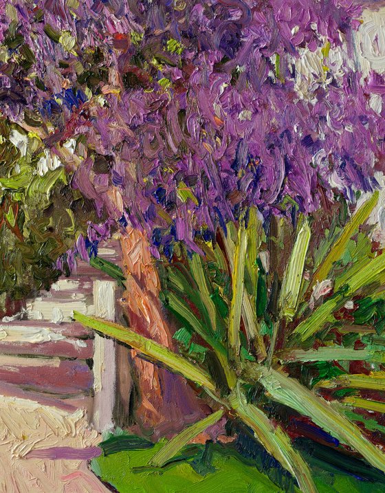 Jacaranda Tree