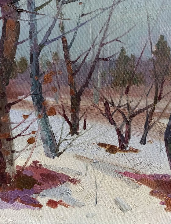 Winter landscape